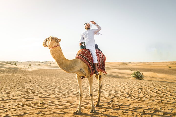 Experience the vast desert landscapes as you ride a camel soaking in the sun and serenity while enjoying the unique thrill of a Dubai morning safari adventure.